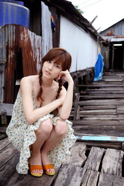 百日蔷薇动漫